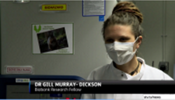 Signs on STV news 250x250.png
